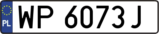 WP6073J