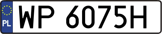 WP6075H