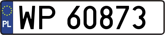 WP60873
