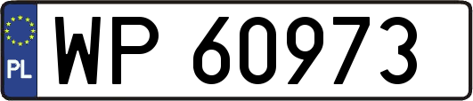 WP60973