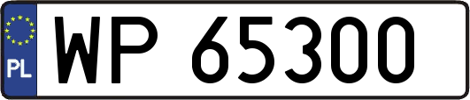 WP65300