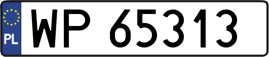 WP65313