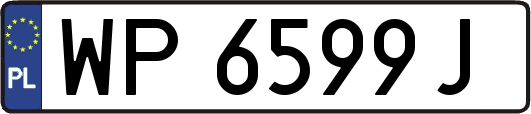 WP6599J