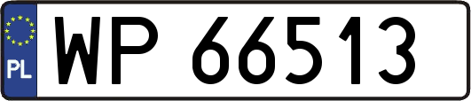 WP66513