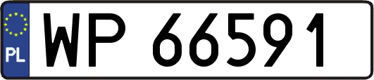 WP66591
