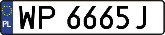 WP6665J