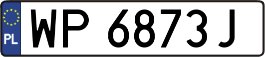WP6873J