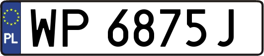 WP6875J