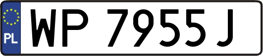WP7955J
