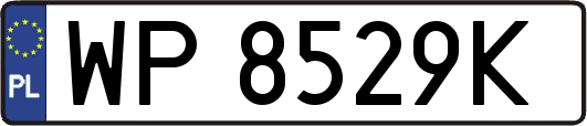 WP8529K