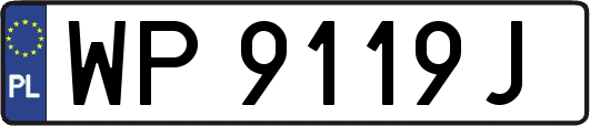 WP9119J