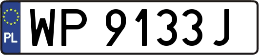 WP9133J