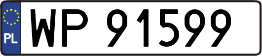 WP91599