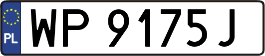 WP9175J