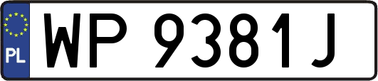 WP9381J