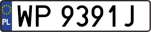 WP9391J