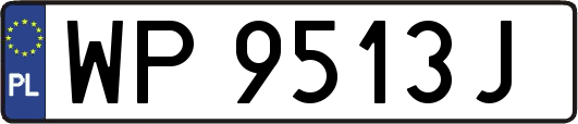 WP9513J