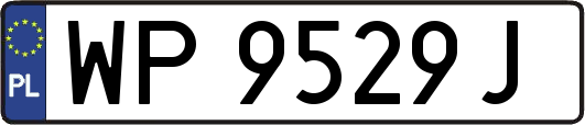 WP9529J