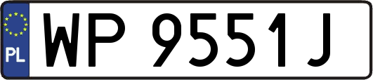WP9551J