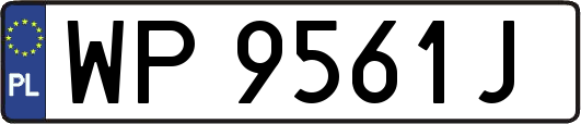WP9561J