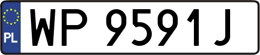 WP9591J