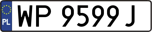 WP9599J