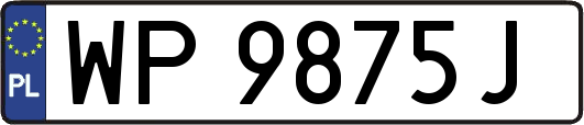 WP9875J