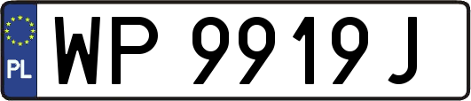 WP9919J