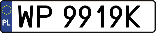 WP9919K