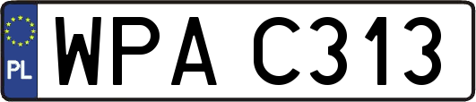 WPAC313