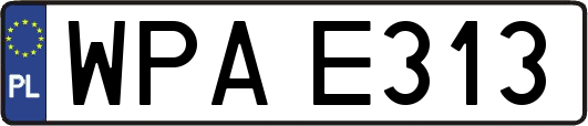 WPAE313