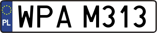 WPAM313