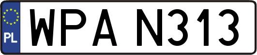 WPAN313