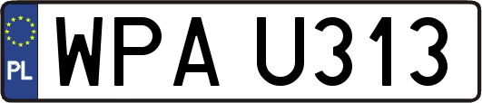 WPAU313