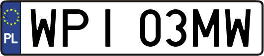 WPI03MW