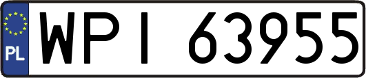 WPI63955