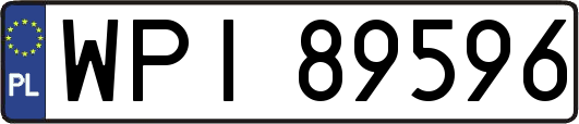 WPI89596