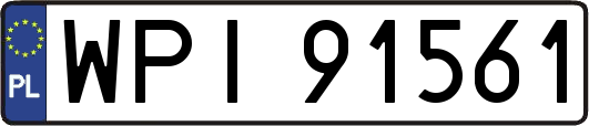 WPI91561