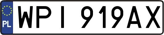 WPI919AX