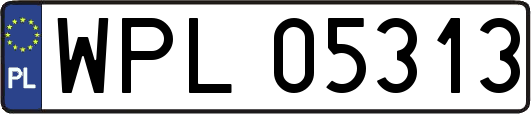 WPL05313