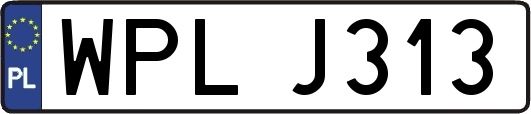 WPLJ313