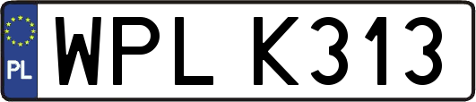 WPLK313