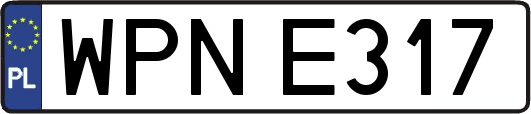 WPNE317