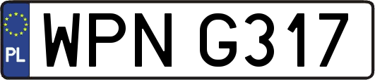 WPNG317