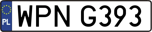 WPNG393