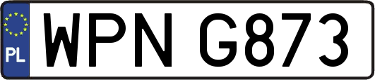 WPNG873