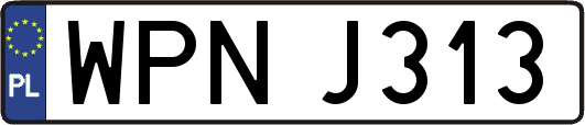 WPNJ313
