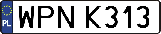 WPNK313