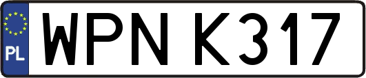 WPNK317