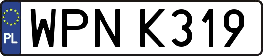 WPNK319